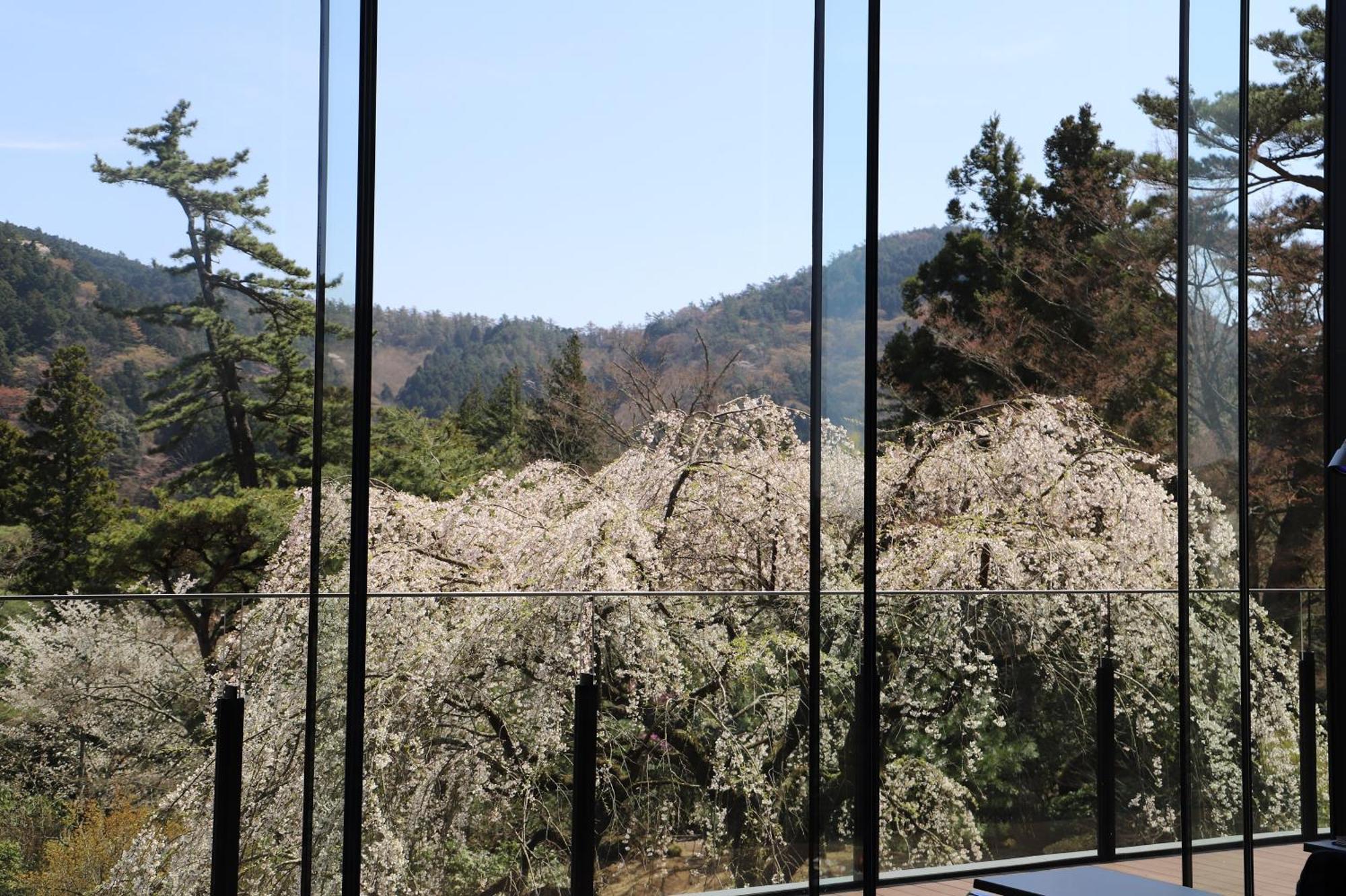 Hakone Kowakien Hotel Exterior photo